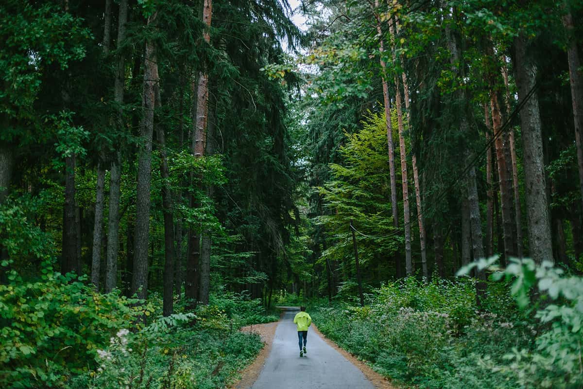 Giving nature a home.